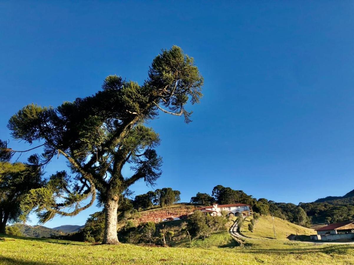 Pousada Fazenda Da Invernada Urubici Exterior foto